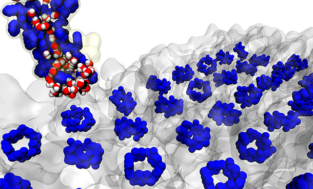 An artificial analogue of the water channel protein, aquaporin, was shown to have permeabilities approaching that of aquaporins and carbon nanotubes. They also arrange in tight two dimensional arrays.  